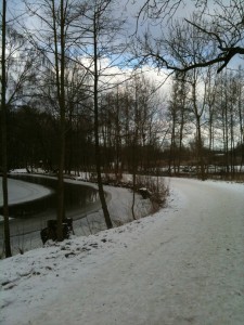 Is på Odense Å og sne på stien. Rigtig vinterløbevejr.