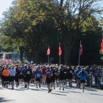 Alle er i gang. 42,2 skønne kilometer forude i solskinsvejr.