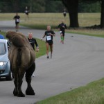 Marathon Knuthenborg 2012-09-15 098