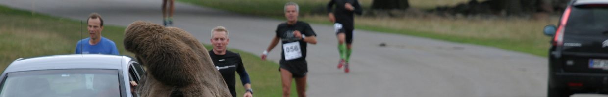 cropped-Marathon-Knuthenborg-2012-09-15-098.jpg